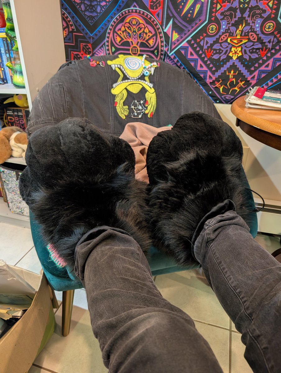 Borealisbaby 🔜 FCL 24 tweet media