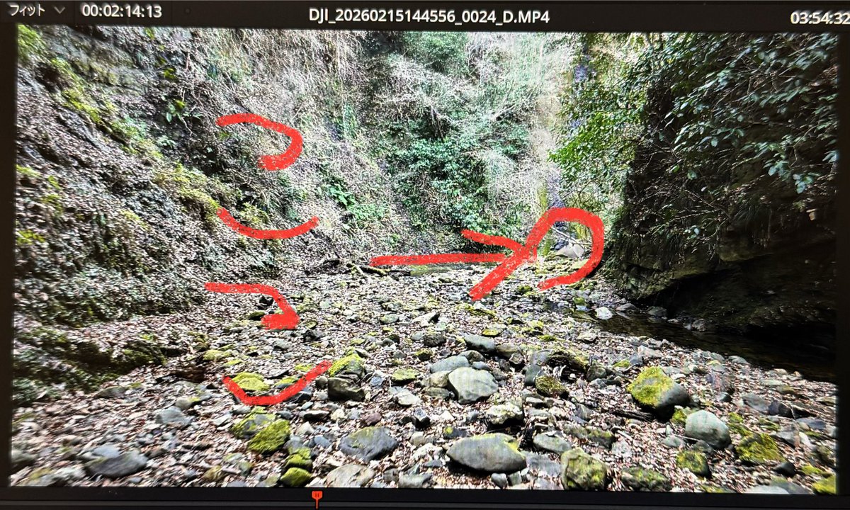 おとな民市長 tweet media