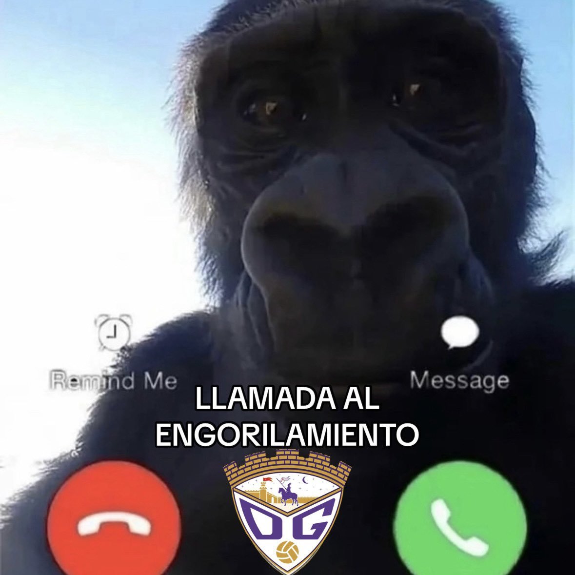 Si se puede <a href="/juanvi_peinado/">Juanvi Peinado</a> queda mucho!! A por el celta!! 💜💜💜💜 #llenoenelescartin <a href="/deporguada/">C.D. Guadalajara ☝🏻🟣</a>