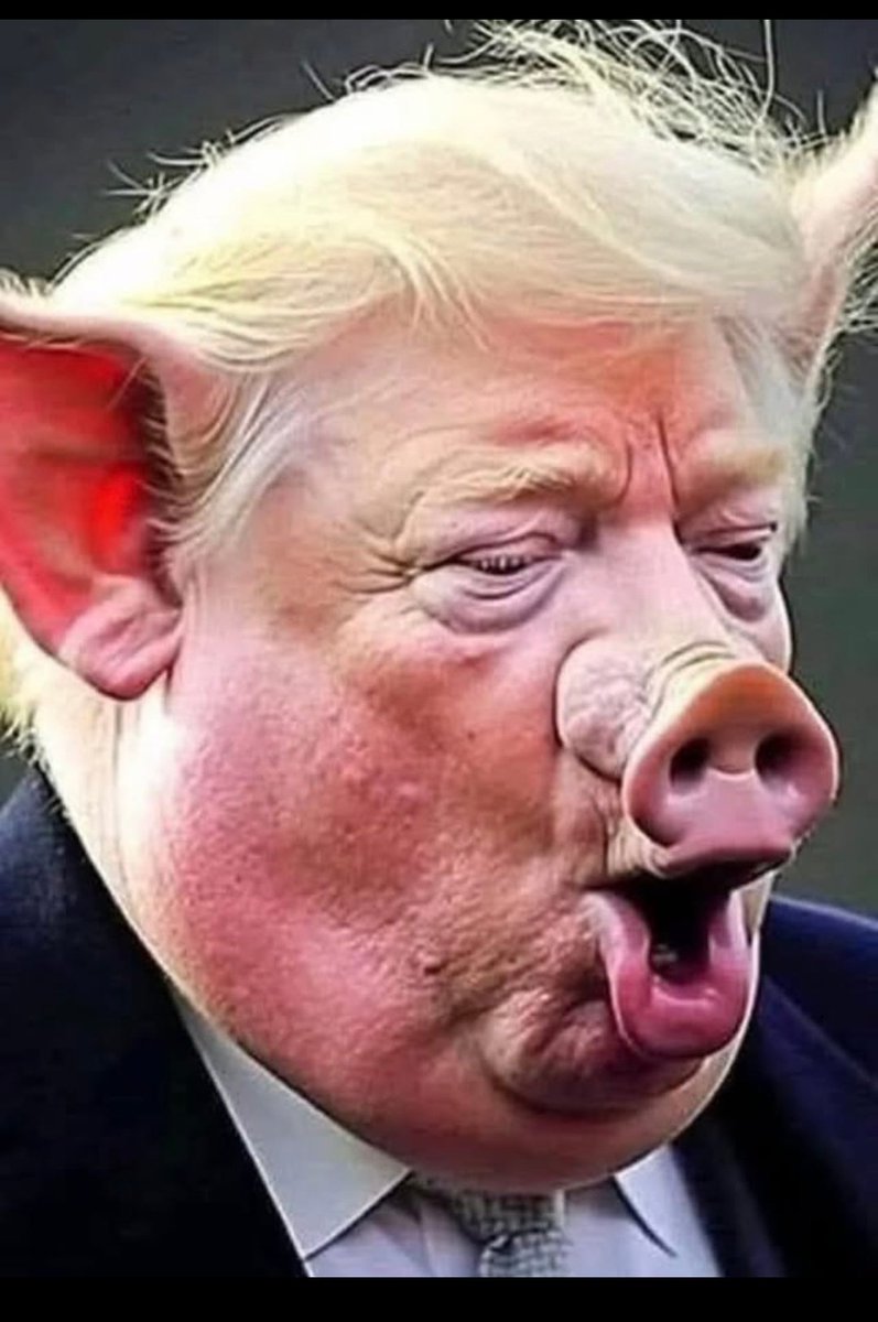 barbarawood22's tweet photo. @MryRodrguez4 #TrashTrump https://t.co/dx97URyjgz