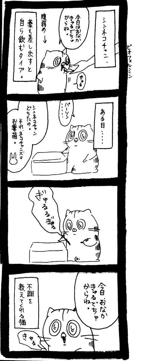 Post by うさぎのみみちゃん😇2/22コミティア東5O28b on X: お知らせ型猫