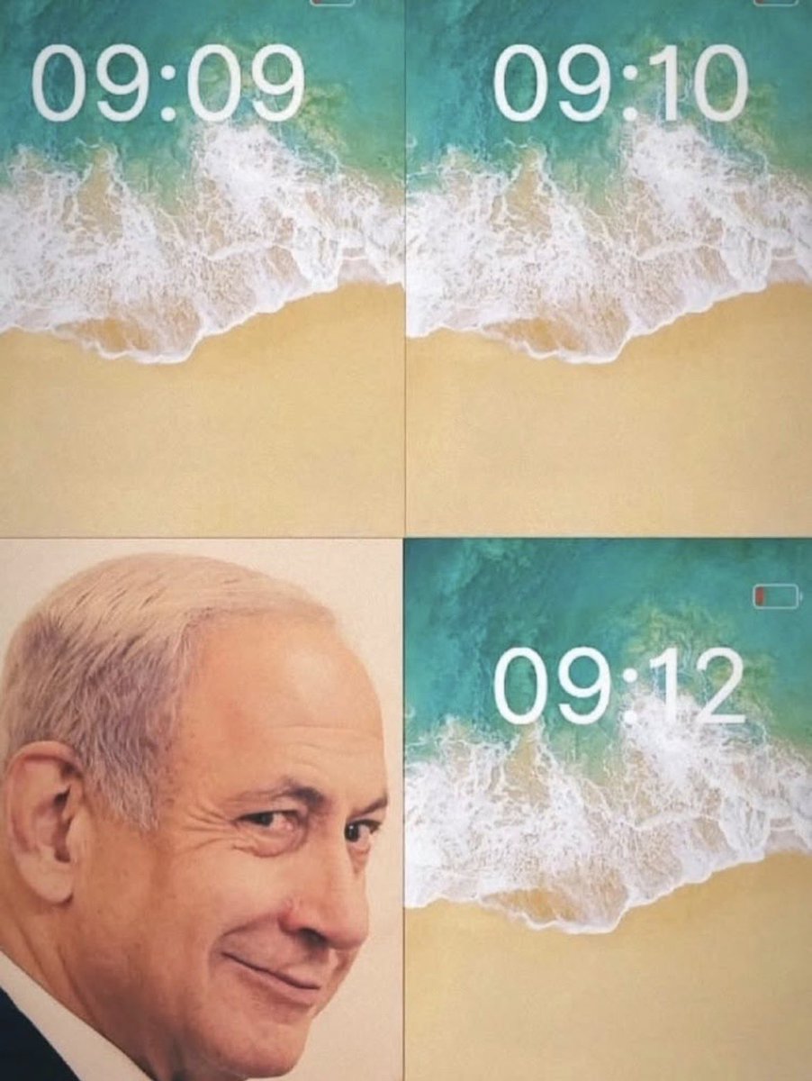 Gatorman DUDE tweet media