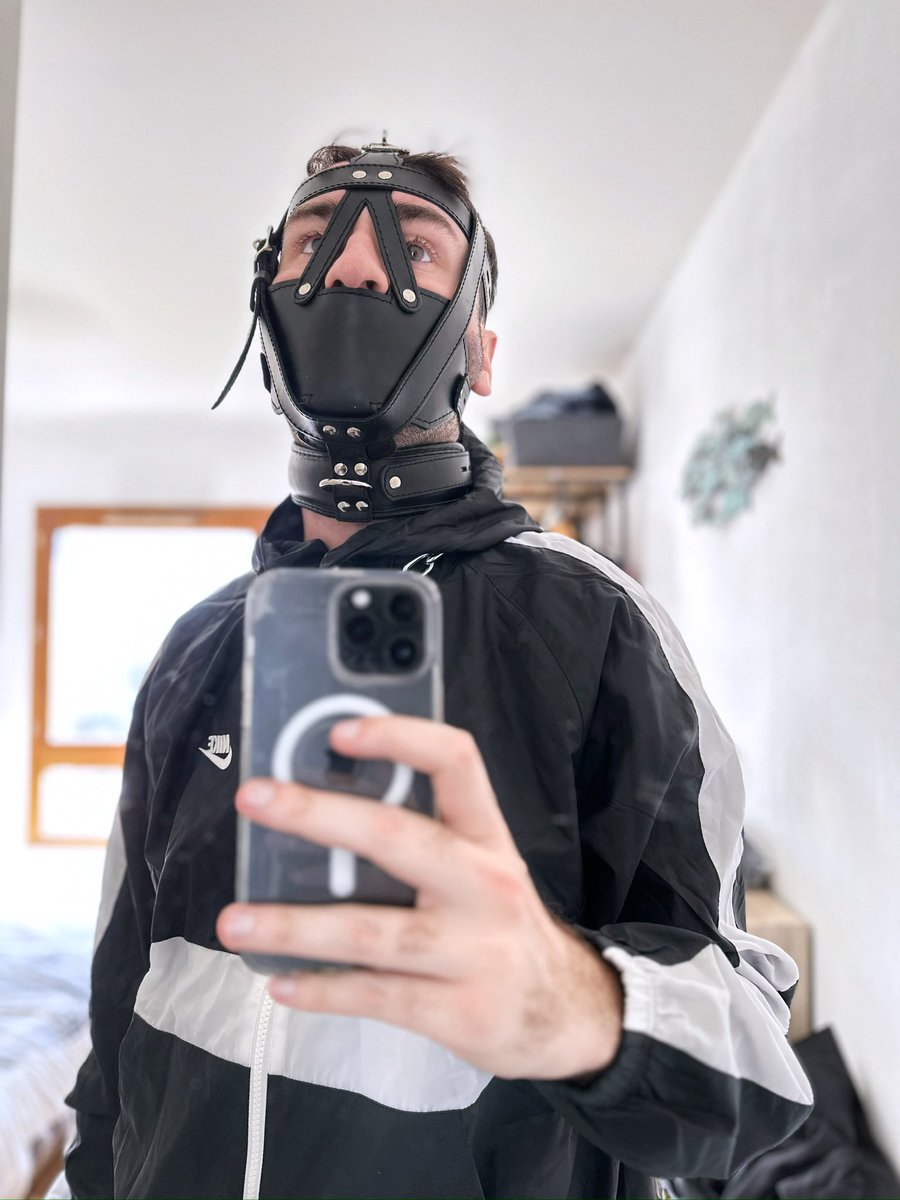 Vilhem 🐾 tweet media