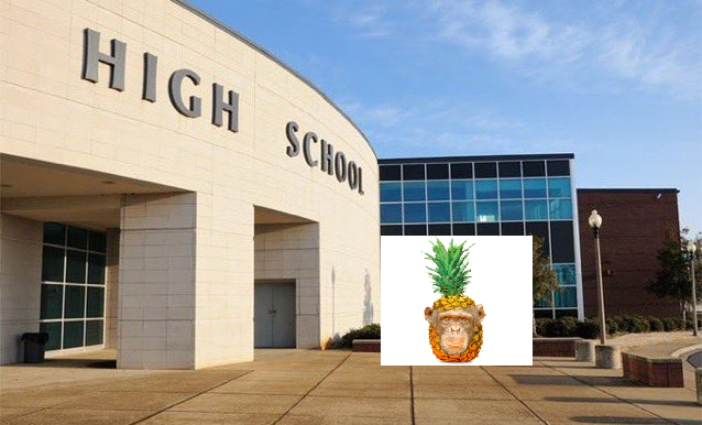 pineapple chimp tweet media