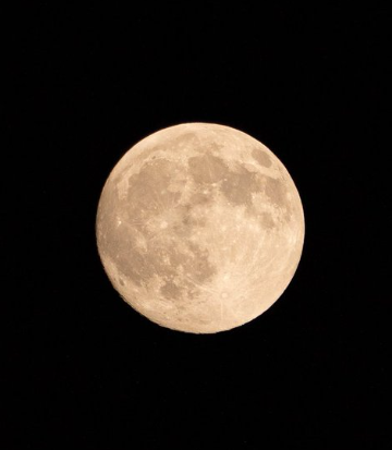 アオ【白兎霊視占い師】 tweet media