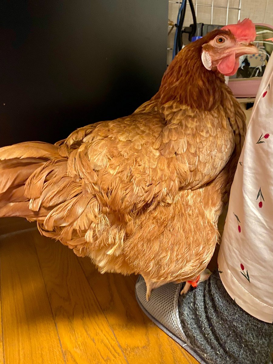 これが↑ こうなる↓