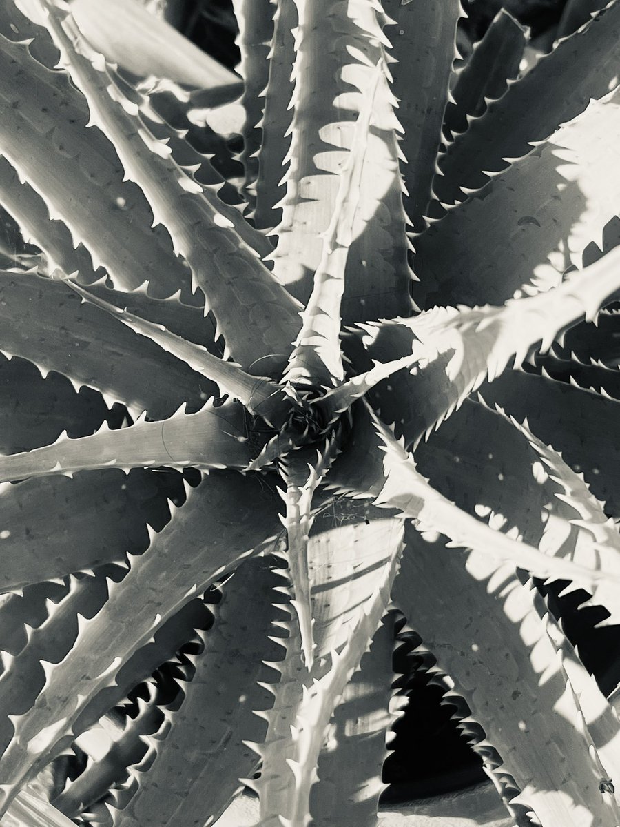 C’è #unBruttoModo di ferire, farlo con gesti piccoli, ma talmente piccoli da sembrare innocenti. 

📸