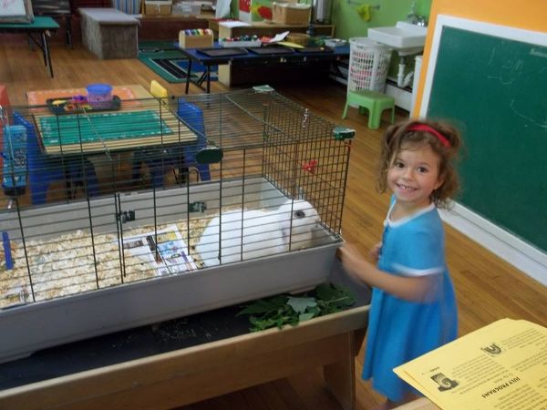 Children's Playhouse tweet media