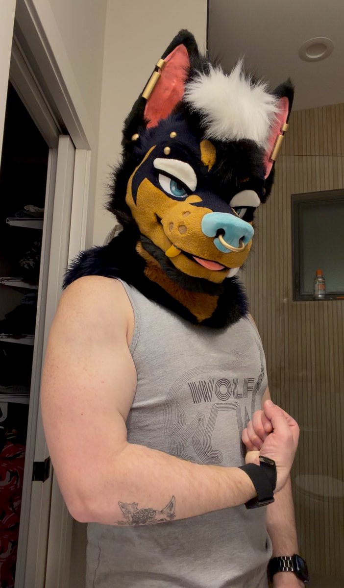 SABER x TOOTH 🔜 TFF/LVFC tweet media