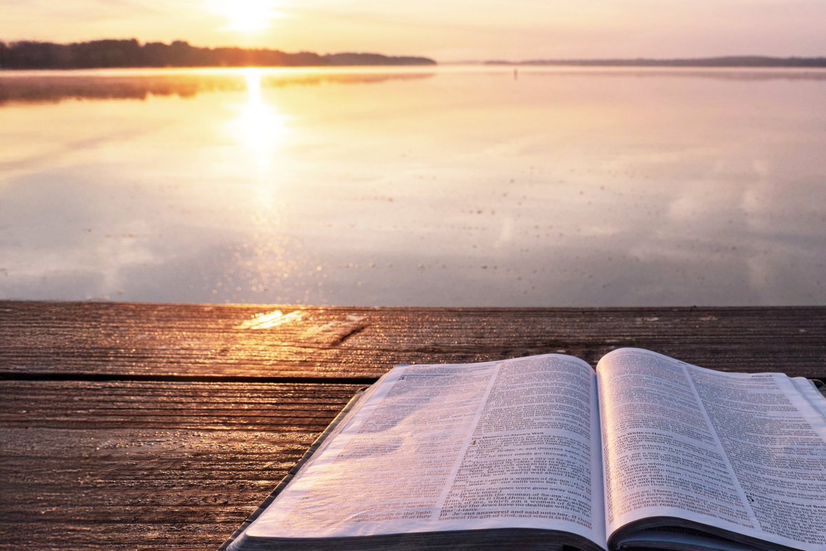 OLQA Catholic Church tweet media