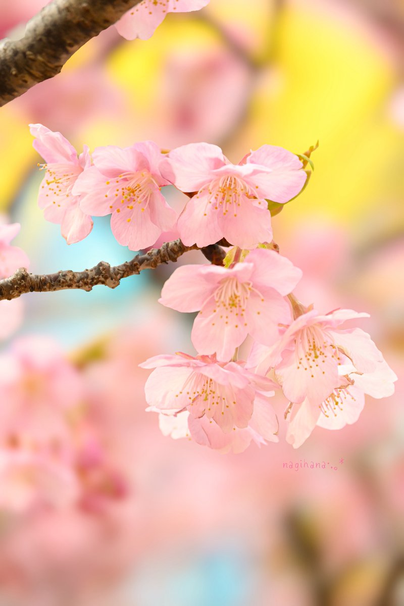 aki aki (@akiaki66697465) / Posts / X