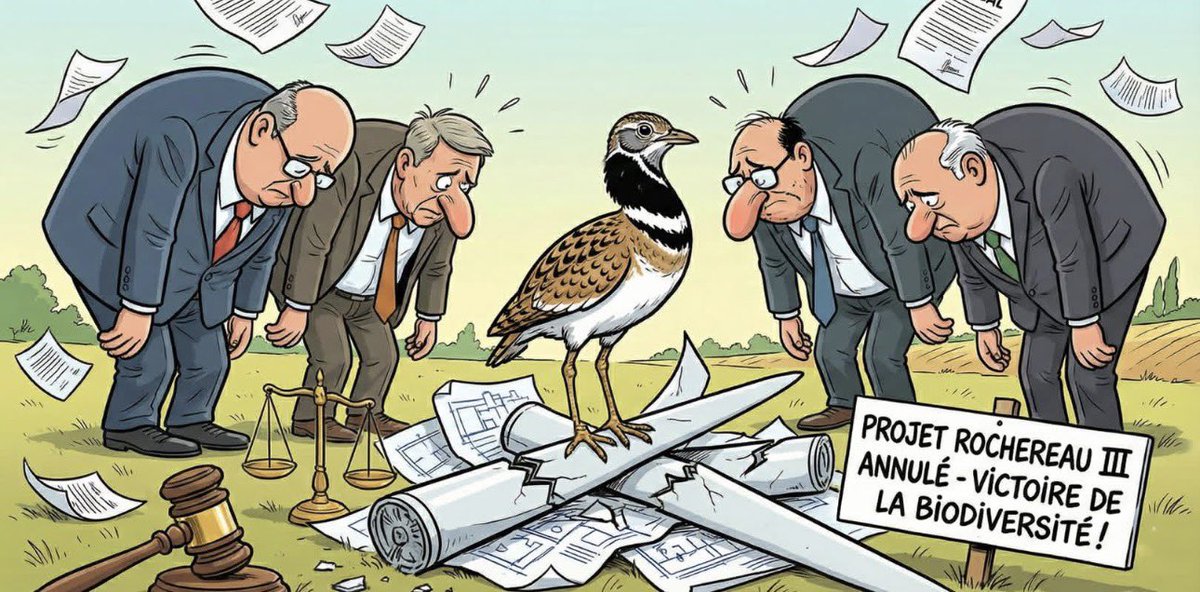 🚨 VICTOIRE MAJEURE DANS LA VIENNE ! 

C’est un coup de tonnerre pour l'industrie éolienne et un immense bol d'air pour nos campagnes ! La justice vient de dire NON au projet géant "Rochereau III" dans la Vienne. 

🏗️ Le projet ? Des monstres d'acier de 230 mètres de haut qui