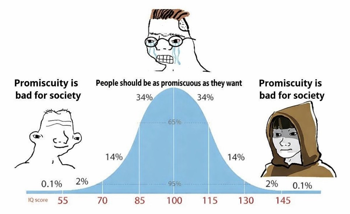 Promiscuous Example For the record, I think premarital sex is a good thing. “Try before you ...
