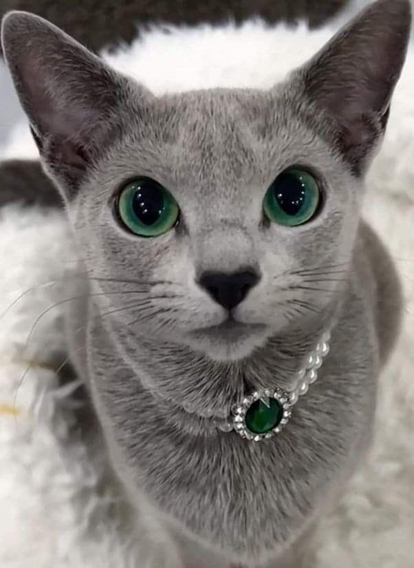 Deep Thoughts 💭 tweet media