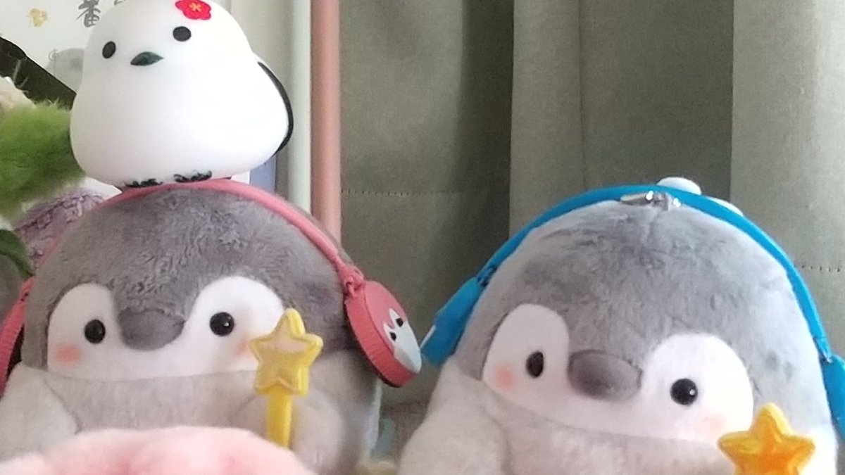 お星さま ツーショット✨☺️