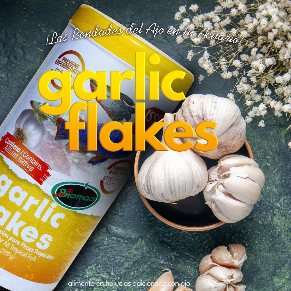 BiomaaStaff's tweet image. Nuestro alimento adicionado con ajo, provee no sólo una alimentación completa, sino una barrera de defensa para su sistema inmunológico.
#Biomaa #fishfood #alimentoparapeces #Hojuelas #flakefood #fish #pecestropicales #pecesdeaguafria #aquarium #Acuario

biomaa.online/product-page/g…