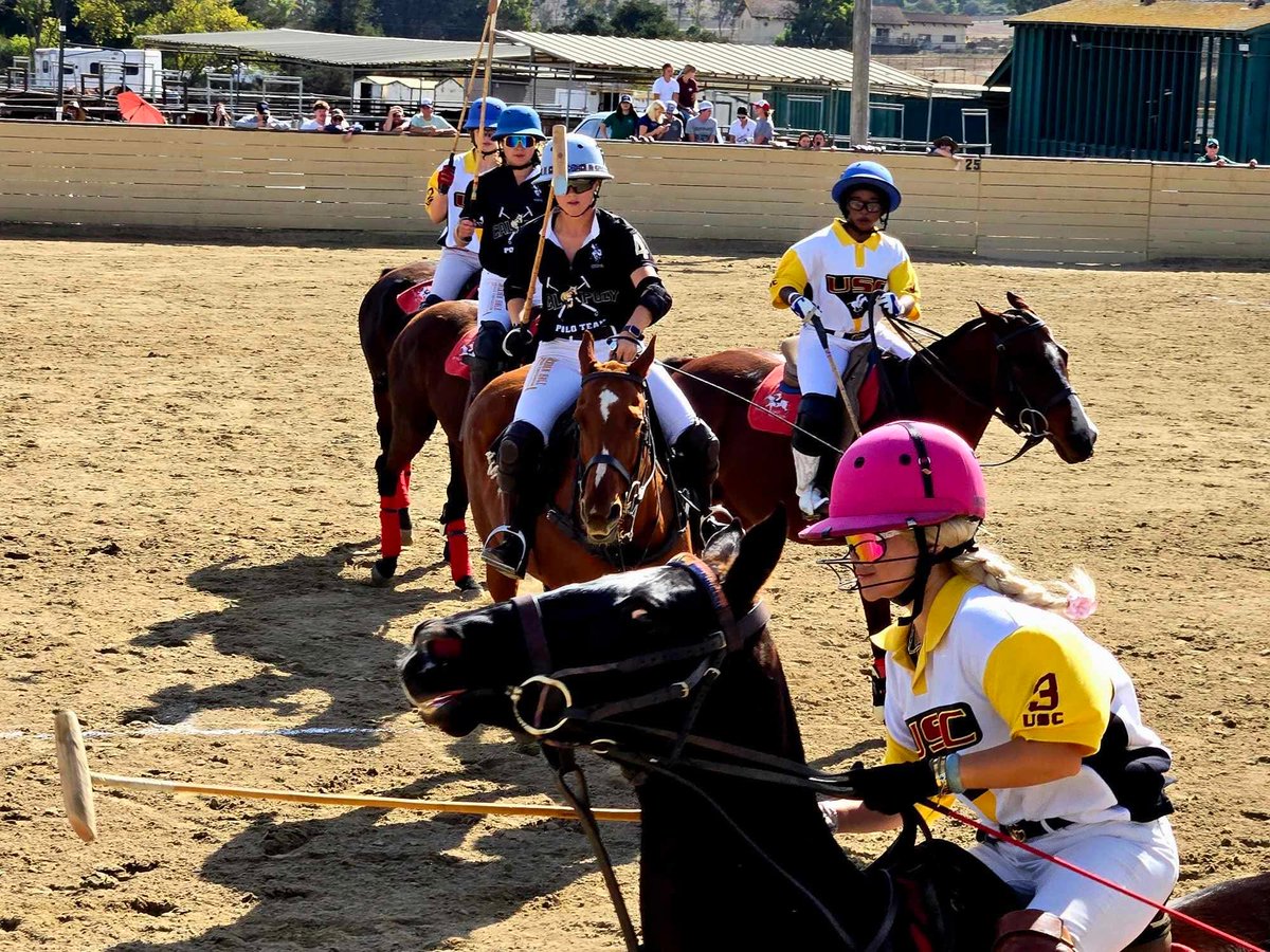 SafetyCSllc's tweet photo. 2026 is officially underway for Safety Consulting Services, LLC – EMS Division.

We opened the season with simultaneous multi-day coverage across two Central Coast venues:

• February 20–22 — 3-Day Polo Tournament at the Central Coast Polo Club
• February 21–22 — 2X Monster Truck Event at the Santa Maria Fairpark

Coordinated staffing. Structured operational oversight. Title 22 compliance. Equipment readiness.

Event EMS is not just about being present — it’s about being prepared.

We appreciate our EMT team members who upheld the SCS standard across all assignments.

#safetyconsultingservicesllc
#scsemsdivision
#CCPC
#SantaMariaFairpark
#2xmonstertrucks
#EventEMS