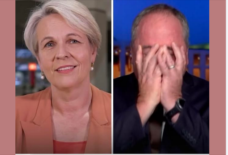 Ocarina Jones 🇮🇱 🐝 tweet media