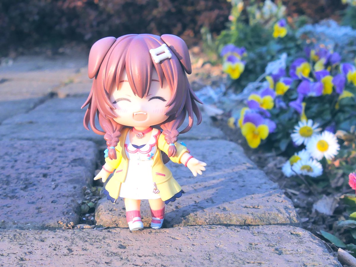 ねんどろいど　戌神ころね

ころさんとのお散歩は楽しいです！
色んな発見がありますし♪

…ほら…後ろの花がピクミンに見えて…

#ねんどろいどホロライ部 
#できたてころね
