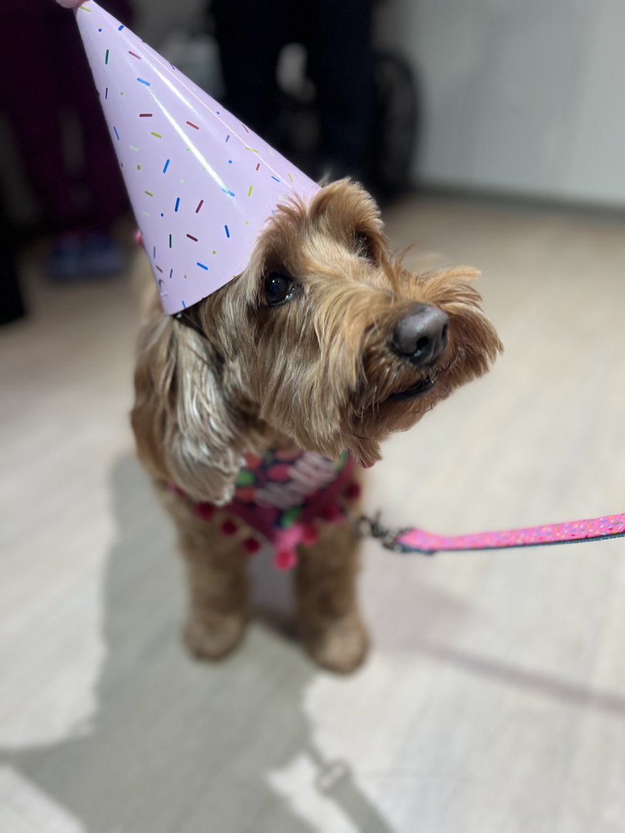 Arnold Palmer Hospital for Children tweet media