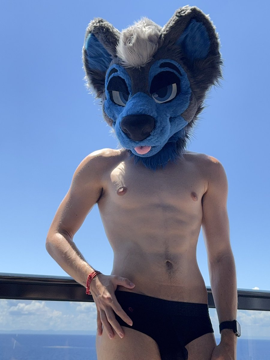 Casper Doggo tweet media