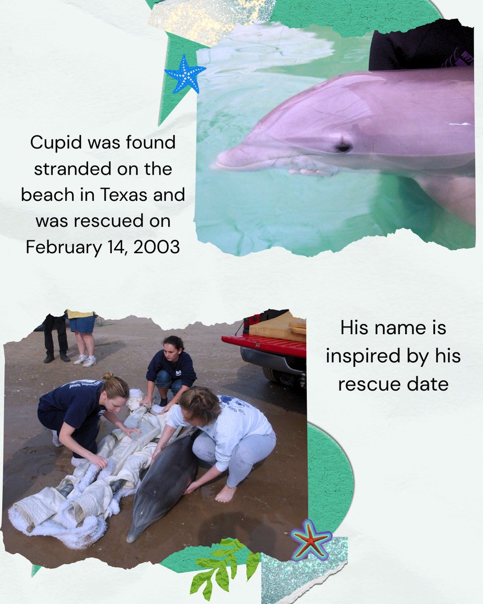 Six Flags Discovery Kingdom tweet media