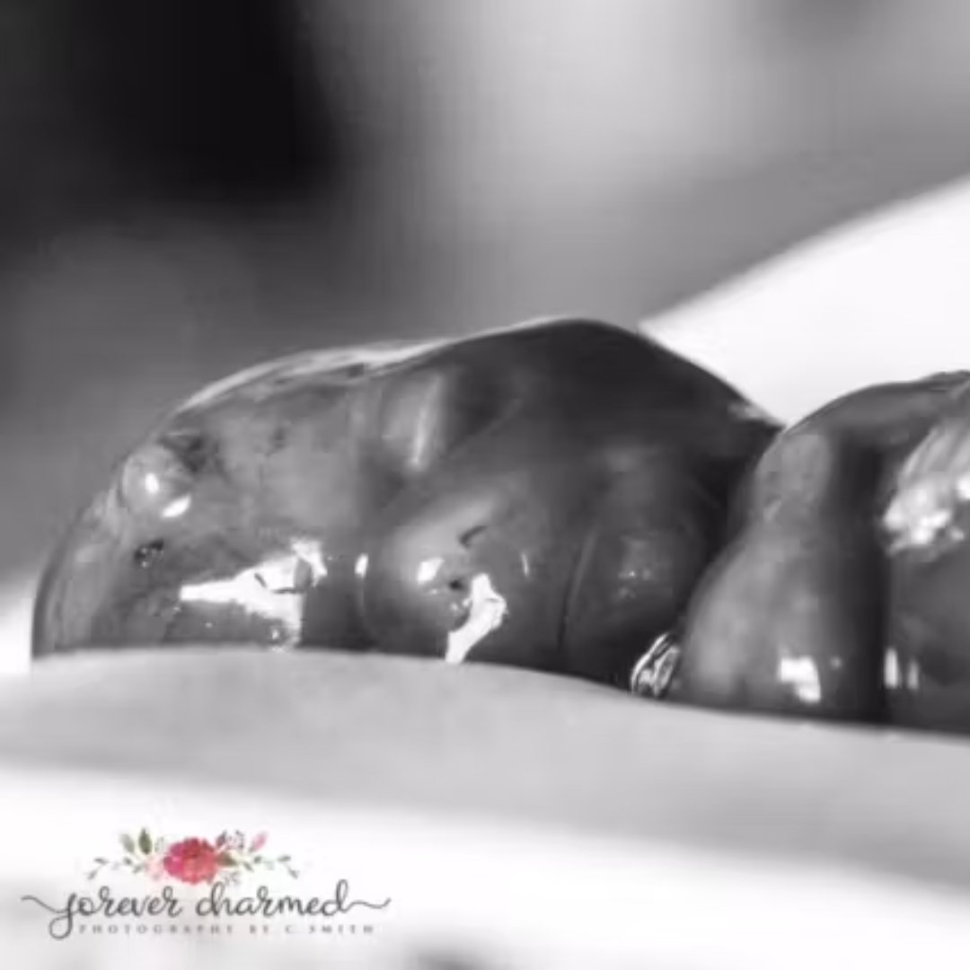 Live Action tweet media