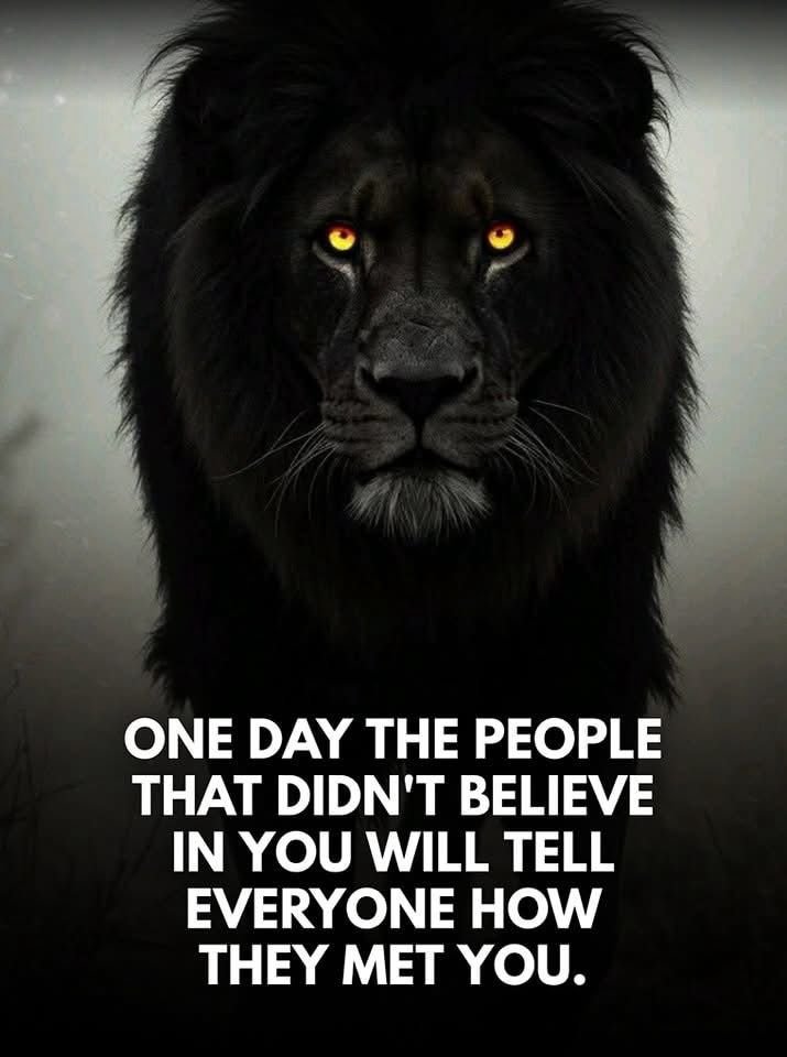 The Lion tweet media