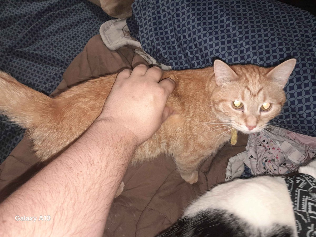 REDCHARA tweet media