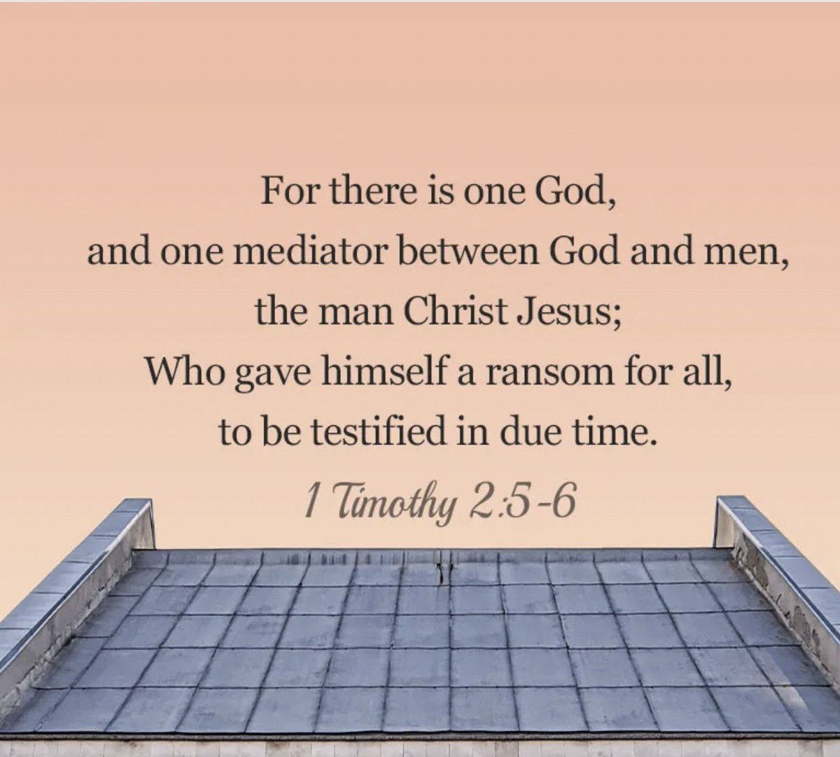 layla ✌️ tweet media