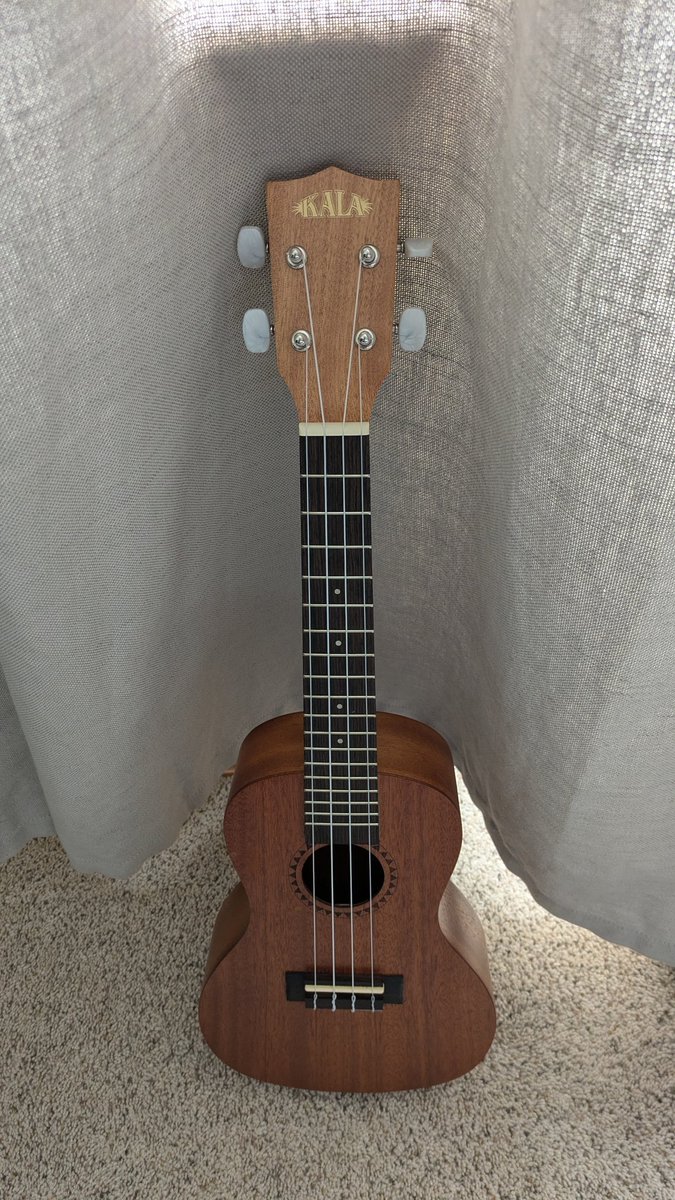 Authentically Bekah ✍️📚 tweet media