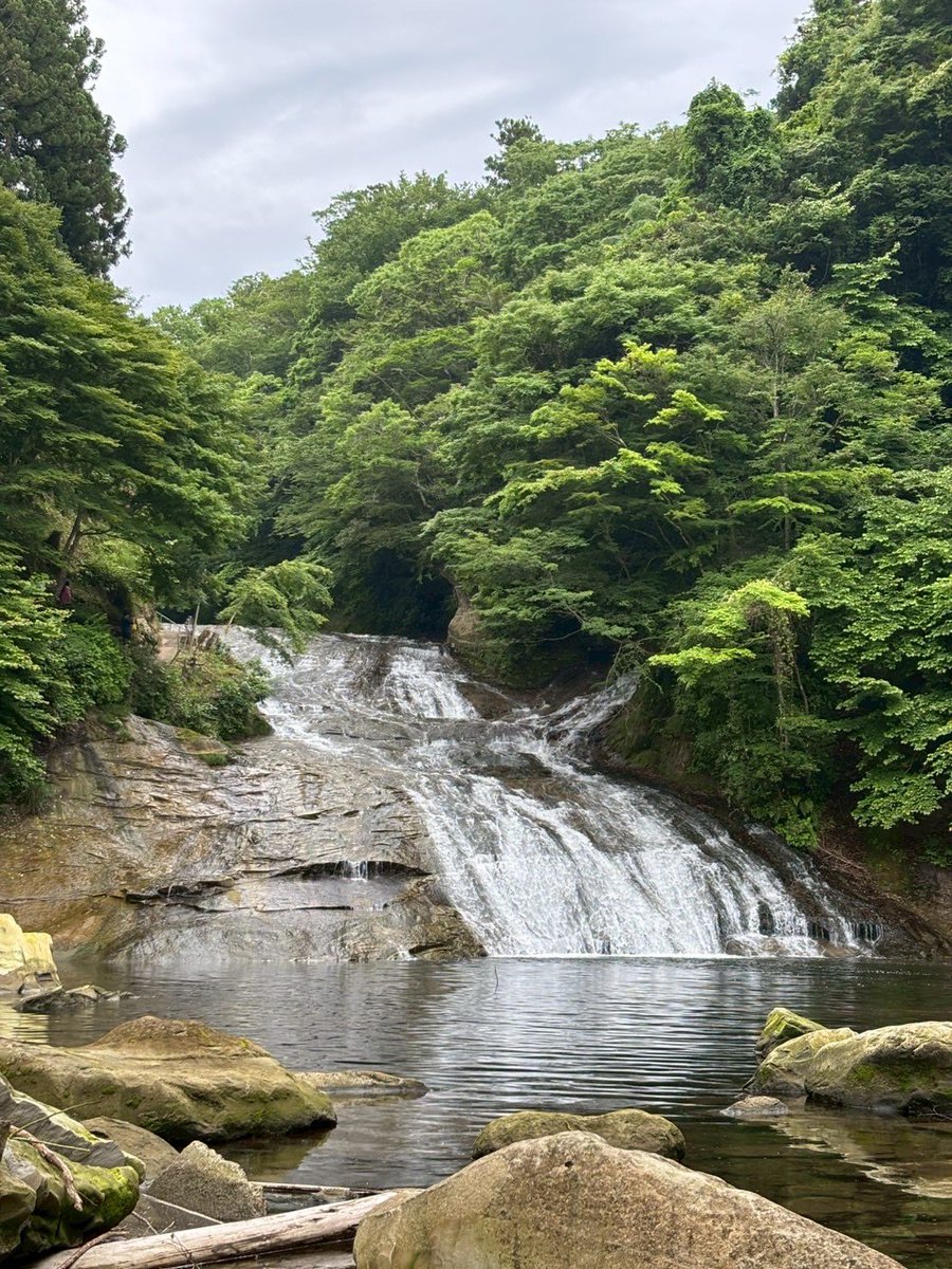楽しい人生
悔いがないように生きるだけ🙏🏻✨️

一旦自然感じたい🌳