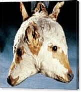 in my room (@nonormiesallow1) on Twitter photo 