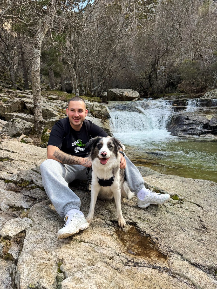 Rm_Valero98's tweet photo. ☀️🐶🌲 https://t.co/8MxCvmW0Vb