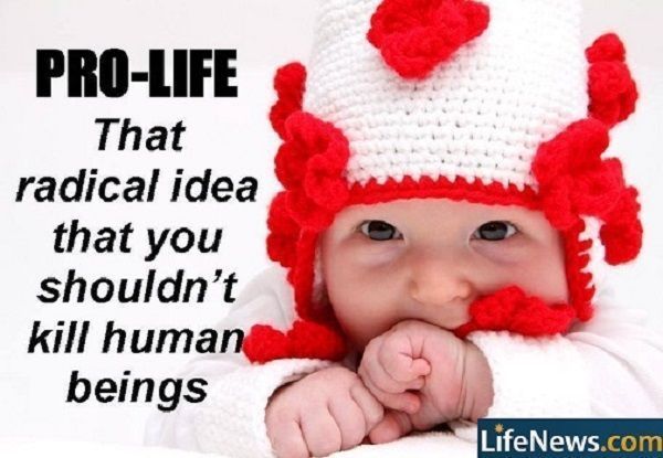 LifeNews.com (@lifenewshq) on Twitter photo 
