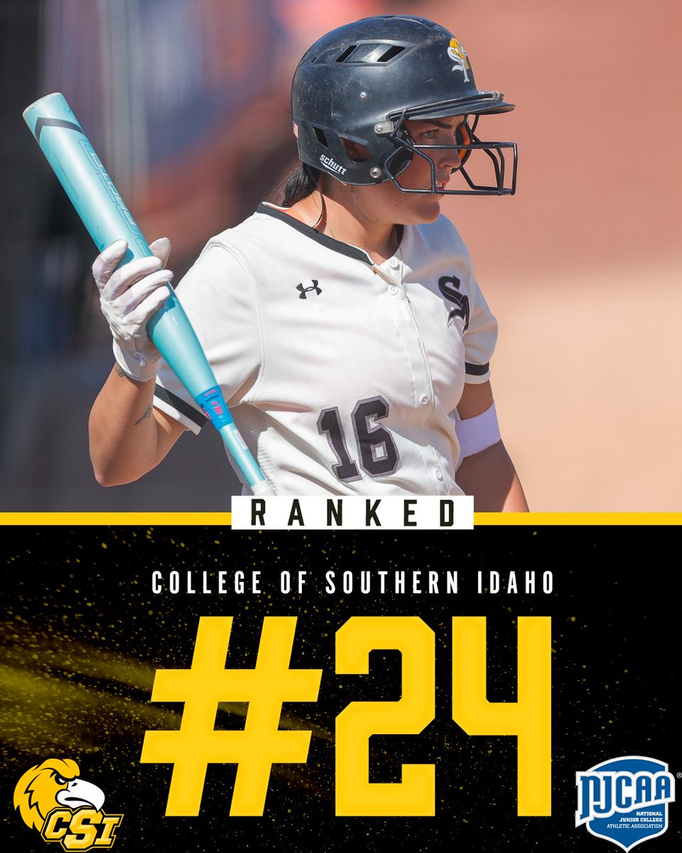 CSI Softball tweet media