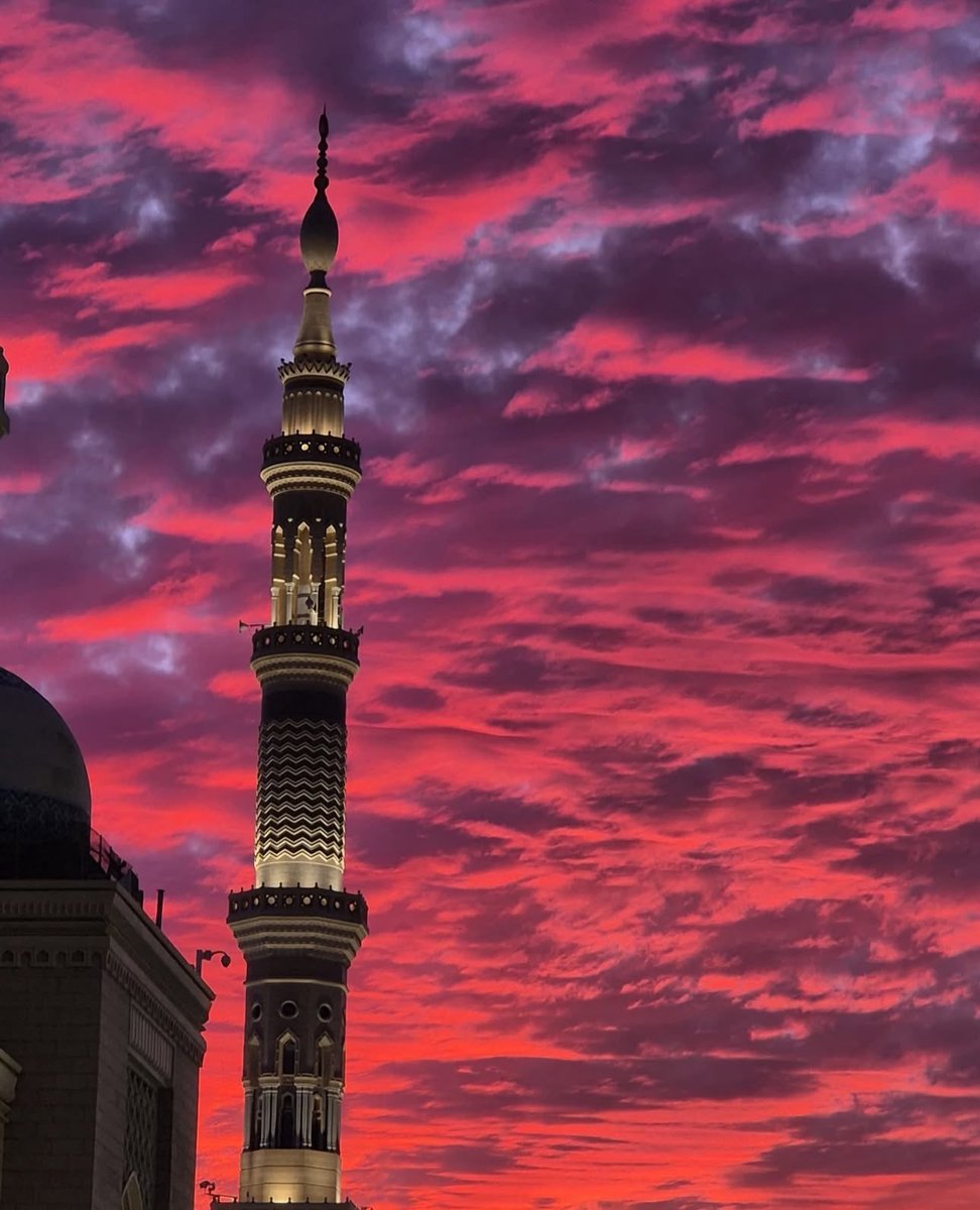 Aqsa Chaudhry🌙🇵🇸🇵🇰 tweet media