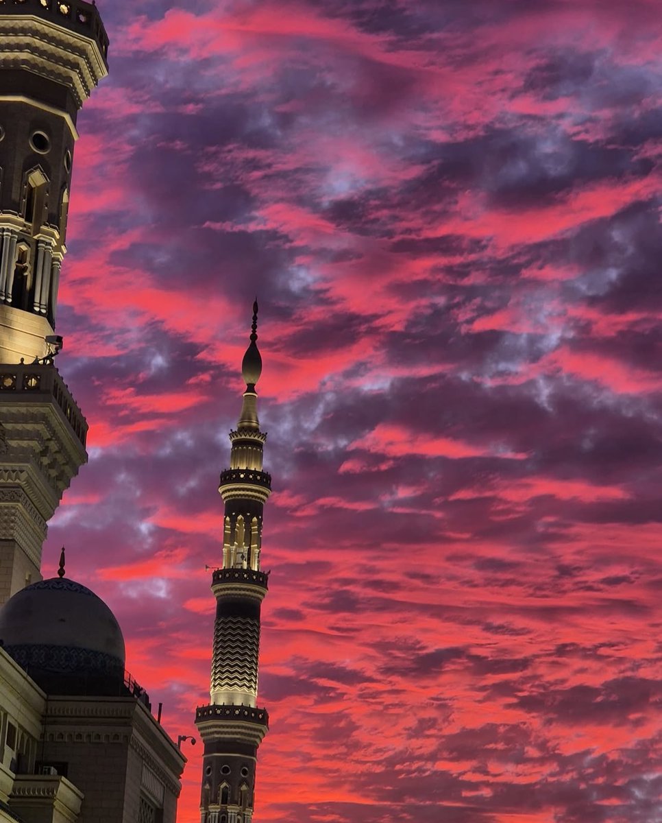 Aqsa Chaudhry🌙🇵🇸🇵🇰 tweet media