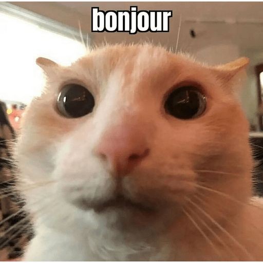 Bee Gone tweet media