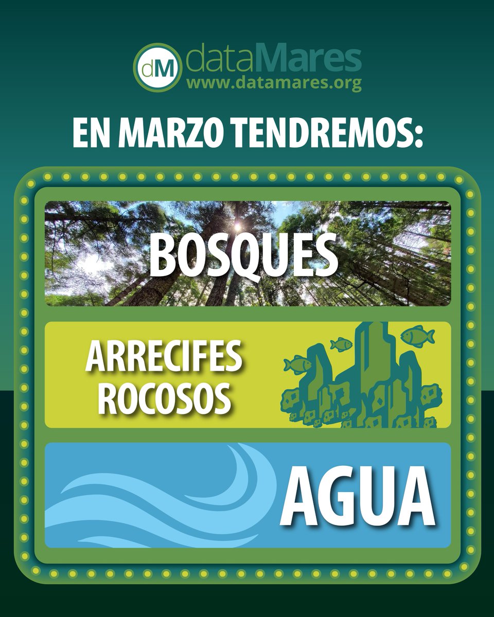 dataMares tweet media