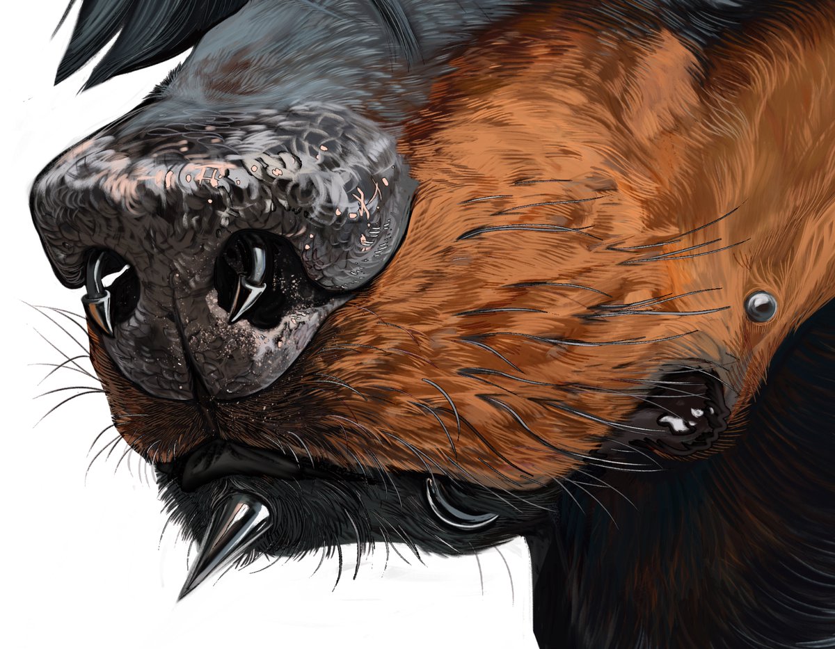 ℜ𝔢𝔶𝔡𝔢𝔤𝔬𝔯 ᚱᚷᚫ tweet media