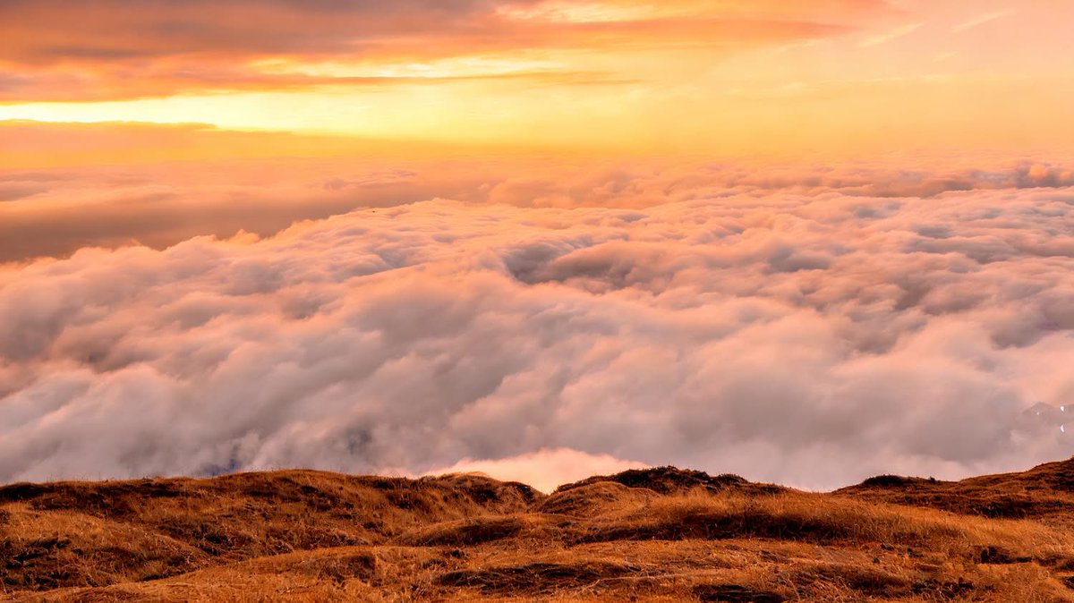 Faisal Saeed Farea (@faisalsaedfarea) on Twitter photo 