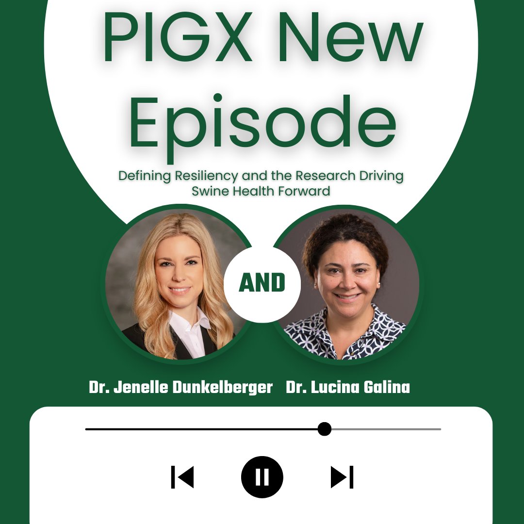 Iowa Pork Industry Center tweet media