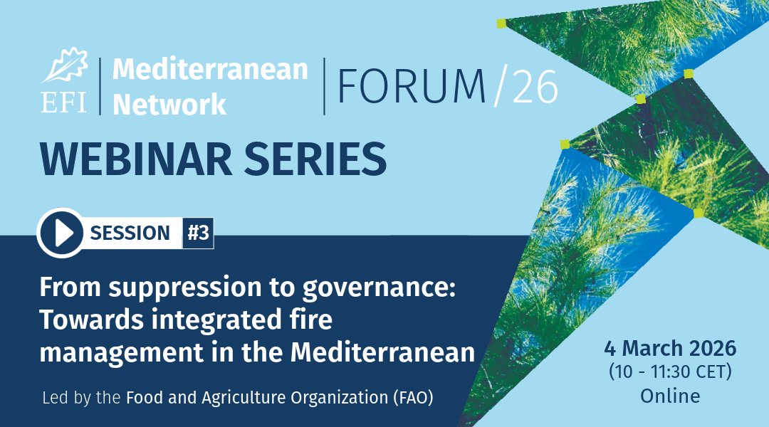 Çağatay Tavşanoğlu tweet media