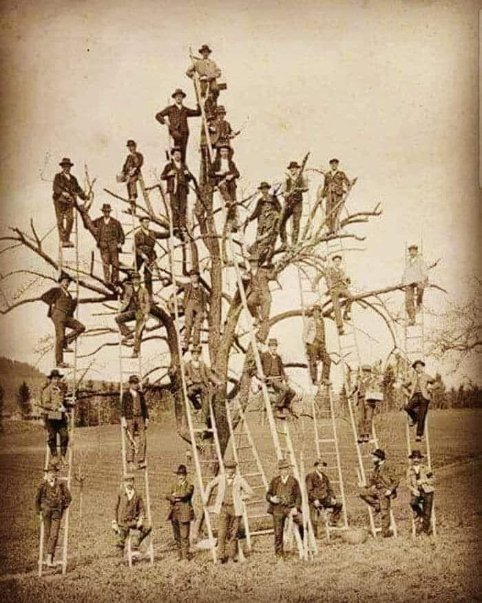 Astronomiaum tweet media