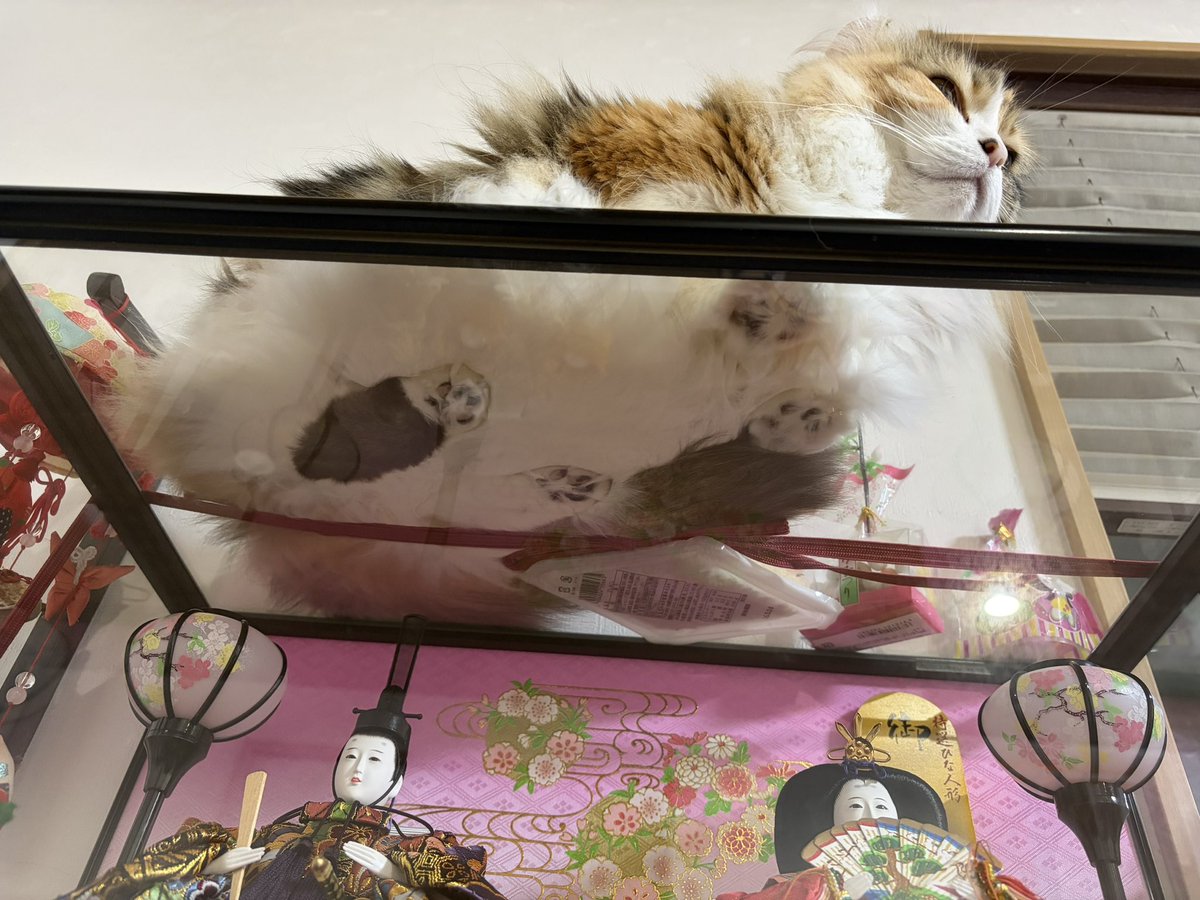 我が家のねね姫👑