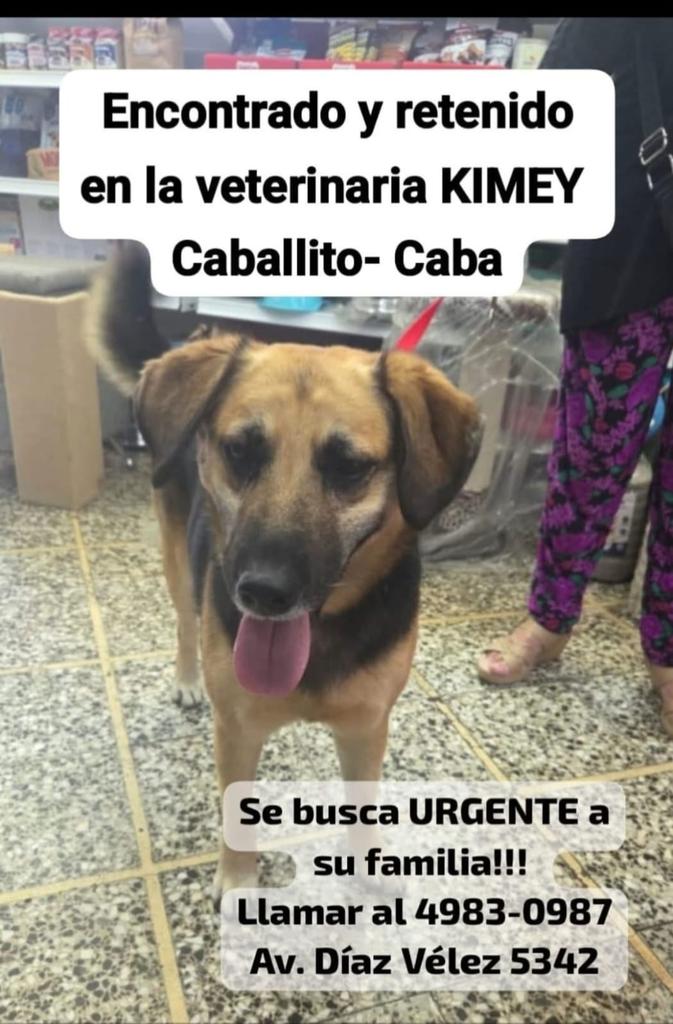 patripeyrou's tweet photo. Difundimos https://t.co/M7wAW12uYJ