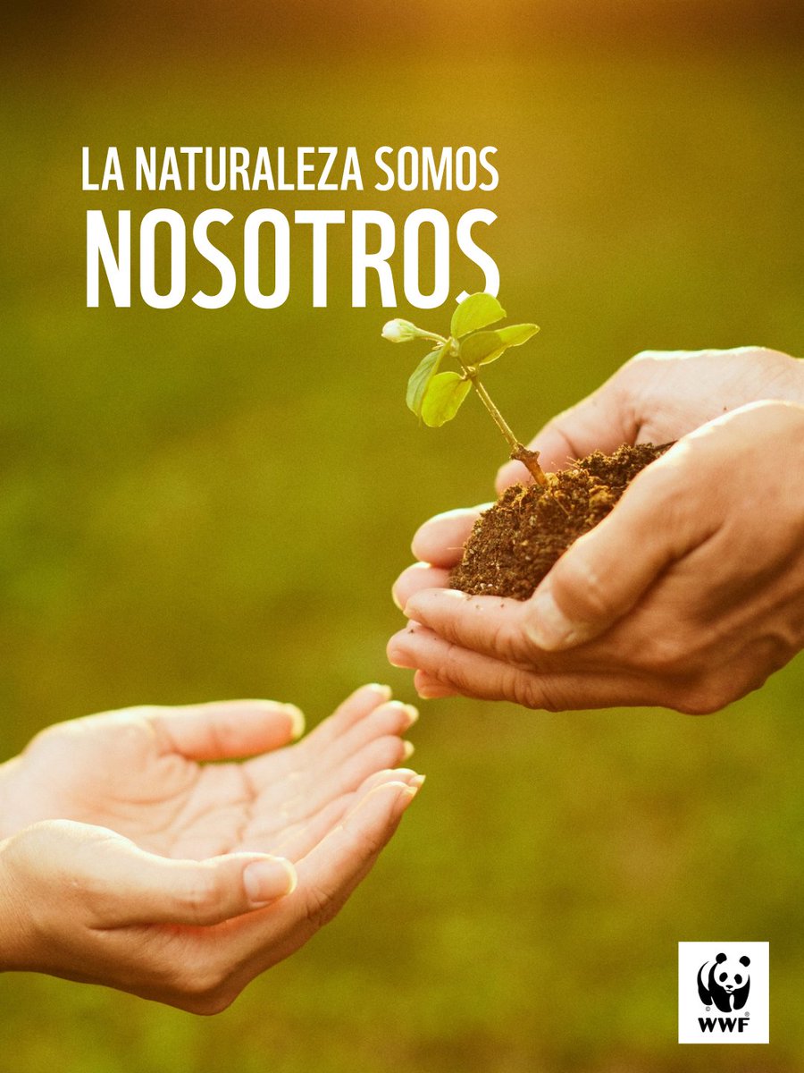 WWF Chile tweet media