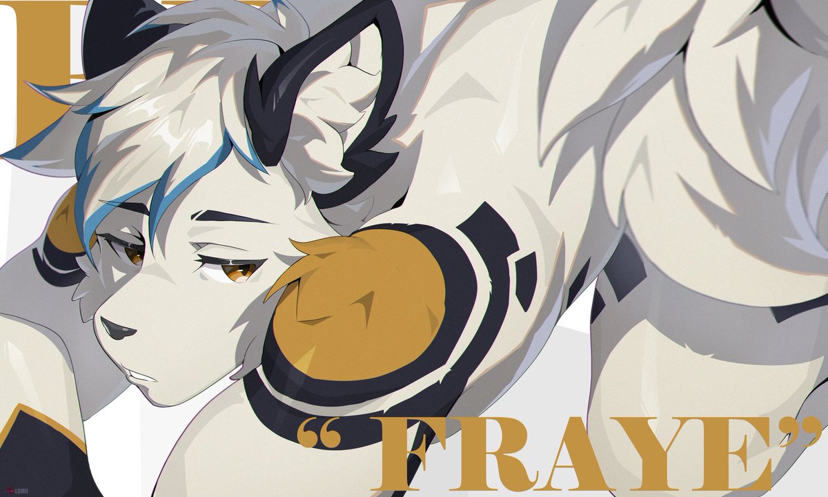 Fraye➡️FWA tweet media