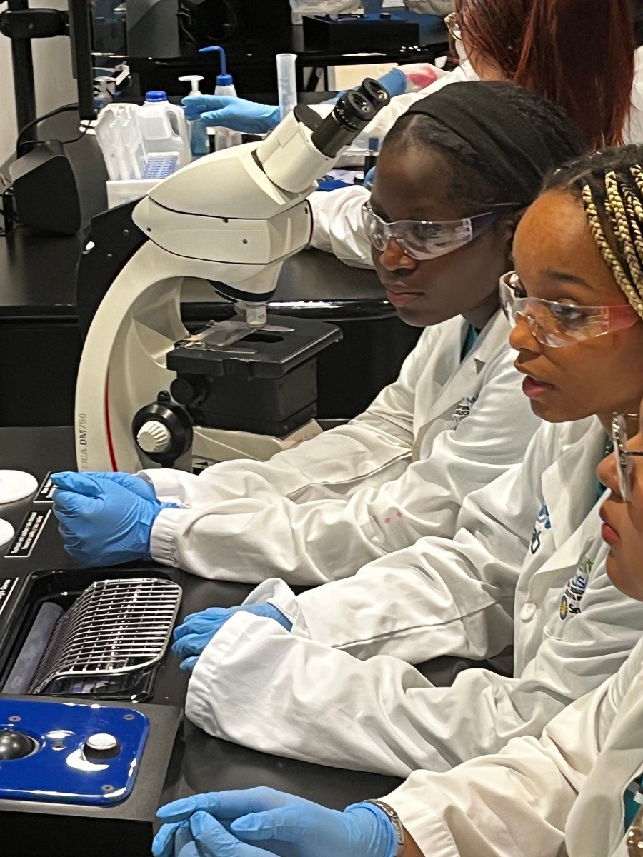 Alief Early College tweet media